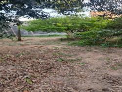 Terreno para Venda em Belo Horizonte - 5