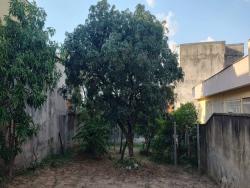 #2119 - Terreno para Venda em Belo Horizonte - MG