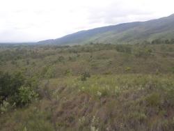 Fazenda para Venda em Augusto de Lima - 2