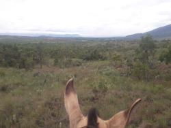 Fazenda para Venda em Augusto de Lima - 3