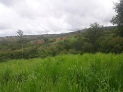 Fazenda para Venda em Augusto de Lima - 4